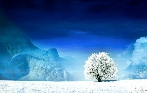 试管婴儿做免疫治疗能维持多长时间?