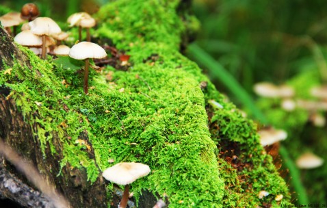 成都试管婴儿成功率怎么提高