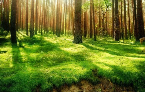 东莞试管成功率（东莞试管婴儿医院排名最好）