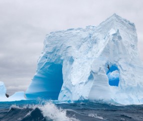 孕妇感冒由清鼻涕变成（孕妇感冒流清水鼻涕怎么办对胎儿有影响吗）
