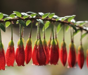 包含福州能做供卵助孕的生殖中心，附2024供卵试管生男孩前十医院名单！的词条