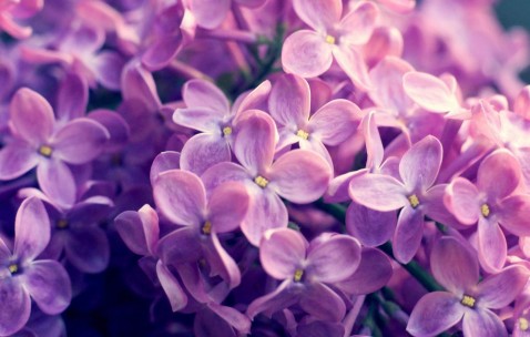 福州供卵试管婴儿的费用和流程全攻略，附2024供卵所需费用表！（福州试管助孕）