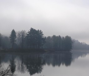 试管婴儿解冻移植自然周期流程（解冻移植自然周期什么时候移植）