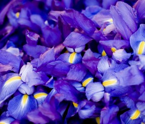 女人40岁做试管婴儿成功率（40岁女人做试管有什么危险）