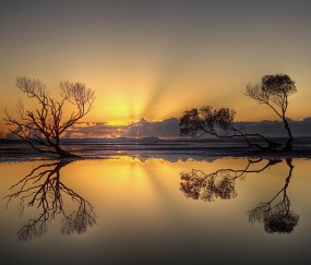 第三代试管婴儿可以选性别吗（做第三代试管婴儿可以选择男女吗）