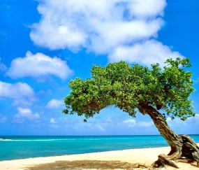 福州正规捐卵联系方式，附2024前三机构详细介绍！