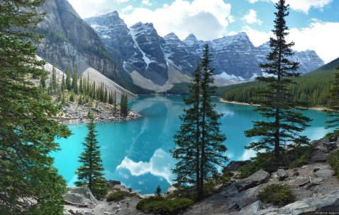 泰国试管婴儿成功率是多少?