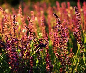 昆华试管婴儿成功率高吗（昆华试管婴儿成功率高吗多少）