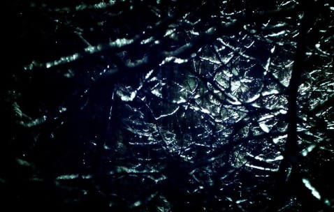 广州哪一家医院做试管婴儿好