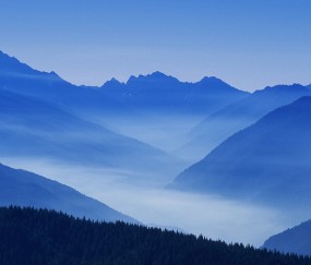 试管移植后有分泌物正常吗（试管移植后注意事项才能成功率高）