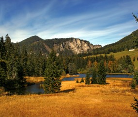 雌二醇太低了什么原因