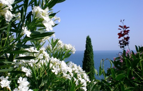 试管一代和二代哪个成功率大