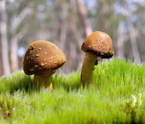 呼和浩特试管婴儿成功率高吗（呼和浩特试管的成功率）