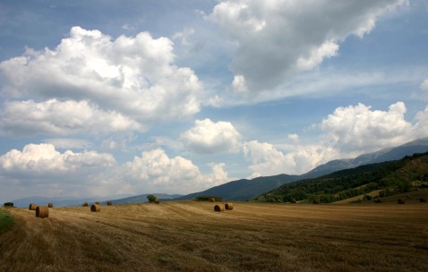 30多岁做试管婴儿成功率（30岁以下试管婴儿成功率）