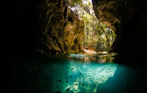 小孩感冒咳嗽可以吃哪些肉类（小孩感冒咳嗽可以吃哪些肉类和蔬菜）