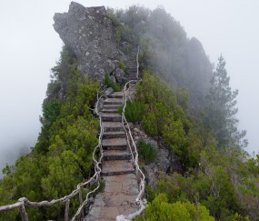 福州卵巢早衰供卵助孕医院汇总，附2024供卵所需费用表！（福州哪家医院看卵巢早衰最好）