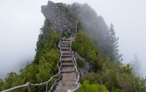 通便的孕妇奶粉（通便的孕妇奶粉有哪些）